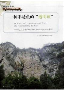 一种不是鱼的“透明鱼”——红点齿蟾Oreolalax rhodostigmatus蝌蚪