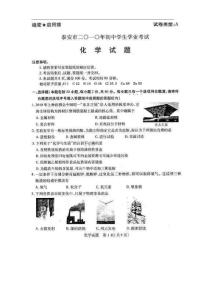 2010年泰安中考化学试题及答案