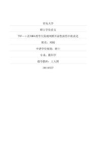 TNF-α在NMDA诱导大鼠视网膜兴奋性损伤中的表达