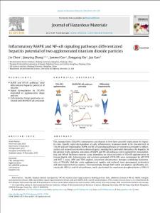 Inflammatory MAPK and NF-κB signaling pathways differentiated hepatitis potential of two agglomerated titanium dioxide particles