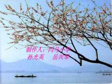 小學語文課件：棉花姑娘PPT課件