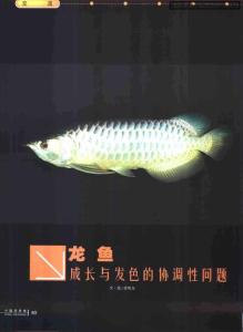 龙鱼成长与发色的协调性问题