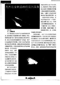 天然与全新品种的亚洲龙鱼（下）