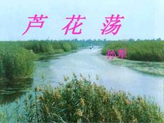 第2課 《蘆花蕩》[總結]