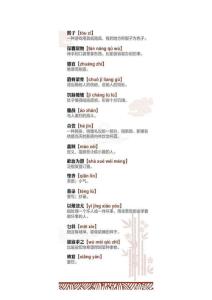 中国文化学生语文生字易读错字词汉字 (9)