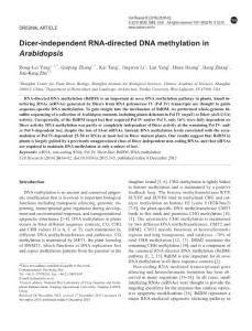 cr2015145a-Dicer-independent RNA-directed DNA methylation in Arabidopsis