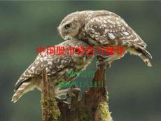 中國股市特色與操作建議