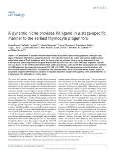 ncb3299-A dynamic niche provides Kit ligand in a stage-specific manner to the earliest thymocyte progenitors