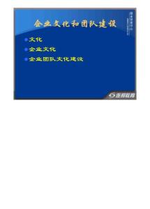 企业文化和团队建设