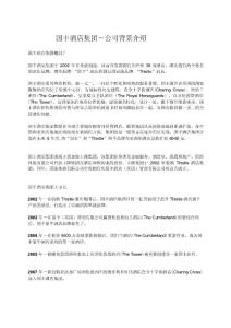 精品國豐集團公司背景