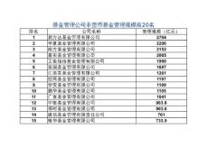 基金公司管理規(guī)模(2015年底)