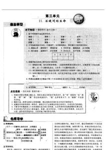 语文版初中语文教案-石缝间的生命