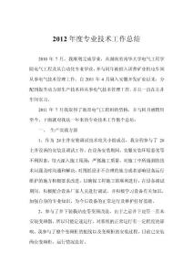2012年度技術(shù)工作總結(jié)【精選資料】