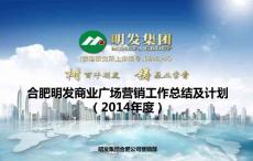 明发集团2014年营销执行方案