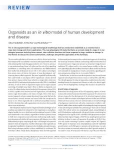 ncb3312-Organoids as an in vitro model of human development and disease