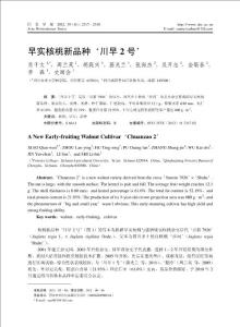早實核桃新品種_川早2號_肖千文