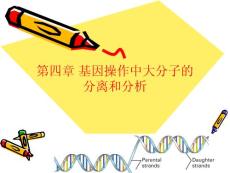 第4章 基因操作中大分子的分離和分析