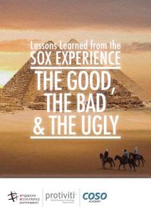 Lessons Learned from the SOX EXPERIENCE THE …