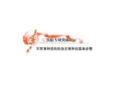 不同育种目的的杂交育种的基本步骤