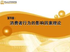 卢泰宏教授《消费行为学》完整讲义1