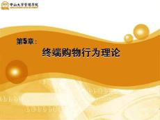 卢泰宏教授《消费行为学》完整讲义2