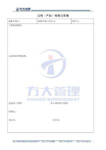 过程检查记录表