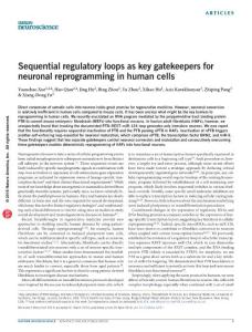 nn.4297-Sequential regulatory loops as key gatekeepers for neuronal reprogramming in human cells