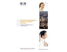 BUSINESS-TO-BUSINESS MARKET RESEARCH IN CHINA