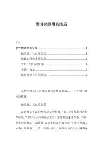野外旅游用药措施