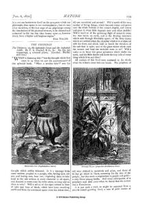 《自然》nature杂志1870年文章