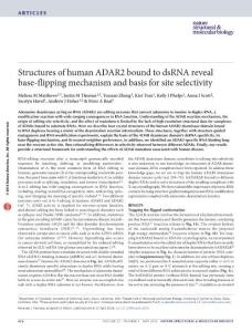 nsmb.3203-Structures of human ADAR2 bound to dsRNA reveal base-flipping mechanism and basis for site selectivity