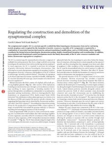 nsmb.3208-Regulating the construction and demolition of the synaptonemal complex