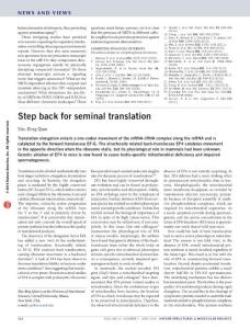 nsmb.3217-Step back for seminal translation