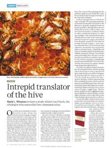Intrepid translator of the hive-nature-2016-5-5