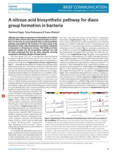 nchembio.1991-A nitrous acid biosynthetic pathway for diazo group formation in bacteria