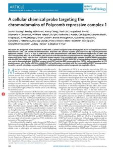 nchembio.2007-A cellular chemical probe targeting the chromodomains of Polycomb repressive complex 1