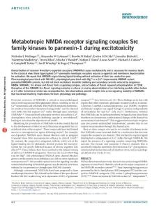 nn.4236-Metabotropic NMDA receptor signaling couples Src family kinases to pannexin-1 during excitotoxicity
