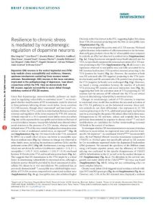 nn.4245-Resilience to chronic stress is mediated by noradrenergic regulation of dopamine neurons