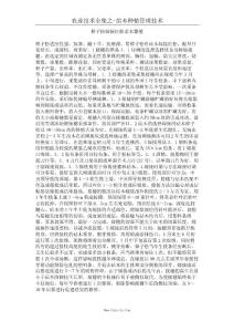 樟子松嫁接紅松苗木繁殖