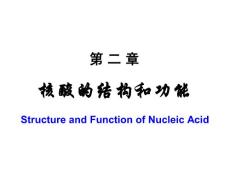 第02章核酸的结构和功能