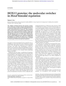 Genes Dev.-2016-Ros-1135-7-HOX13 proteins the molecular switcher in Hoxd bimodal regulation