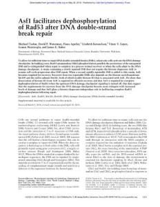 Genes Dev.-2016-Tsabar-1211-24-Asf1 facilitates dephosphorylation of Rad53 after DNA double-strand break repair