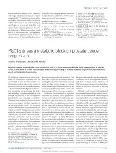 ncb3365-PGC1α drives a metabolic block on prostate cancer progression