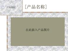 ppt 实用模板