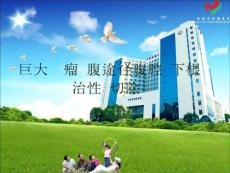 巨大腎腫瘤經腹途徑腹腔鏡下根治性腎切除術課件