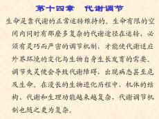 第十四章 代謝調(diào)節(jié)