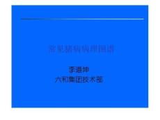 常见猪病病理图谱_畜牧兽医_农林牧渔_专业资料.ppt