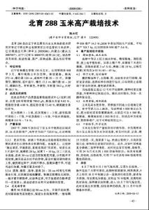 北育288玉米高產(chǎn)栽培技術
