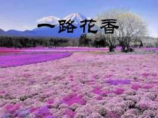 一路花喷鼻优质课件[摘录]