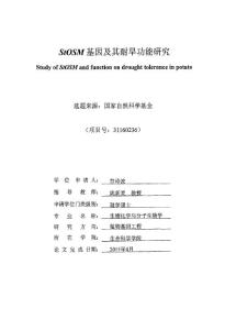 StOSM基因及其耐旱功能研究